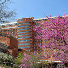 National Cancer Institute in Bethesda, Maryland